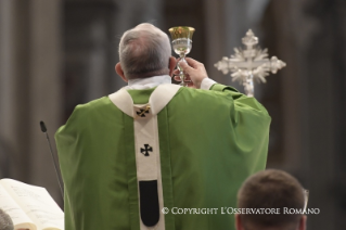 7-XXXIII Domenica del Tempo Ordinario – Santa Messa