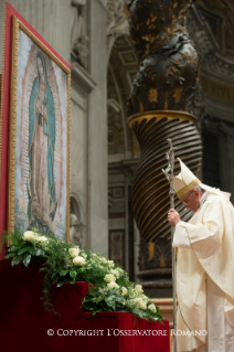 3-Celebrazione Eucaristica nella Festività di Nostra Signora di Guadalupe (12 dicembre 2014)