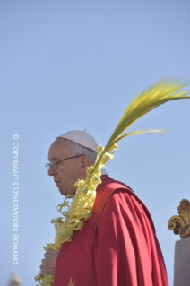 16-Celebration of Palm Sunday of the Passion of the Lord