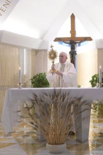 10-Holy Mass presided over by Pope Francis at the Casa Santa Marta in the Vatican: "To be filled with joy"