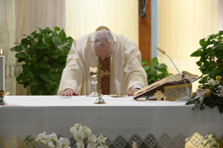 8-Holy Mass presided over by Pope Francis at the Casa Santa Marta in the Vatican: "The Holy Spirit: Master of Harmony"