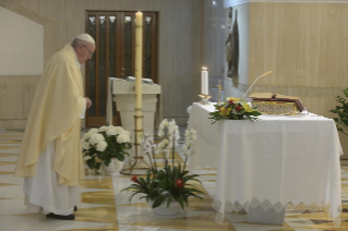 0-Misa celebrada por el papa Francisco de forma privada en la capilla de la Casa Santa Marta: <i>Dejemos que la luz de Dios entre en nosotros para no ser como murciélagos en las tinieblas</i>