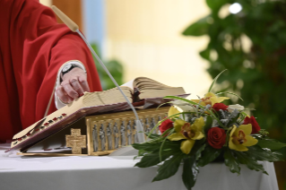 8-Misa celebrada por el papa Francisco de forma privada en la capilla de la Casa Santa Marta. <i>La fe debe ser transmitida, debe ser ofrecida, especialmente con el testimonio</i>