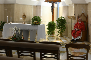 9-Misa celebrada por el papa Francisco de forma privada en la capilla de la Casa Santa Marta. <i>La fe debe ser transmitida, debe ser ofrecida, especialmente con el testimonio</i>