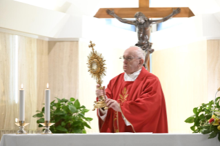10-Celebrazione della Santa Messa nella Cappella della <i>Domus Sanctae Marthae</i>: "La fede va trasmessa, va offerta, soprattutto con la testimonianza"
