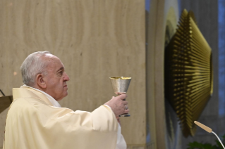 11-Holy Mass presided over by Pope Francis at the Casa Santa Marta in the Vatican: “The meekness and tenderness of the Good Shepherd”