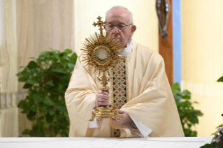 16-Holy Mass presided over by Pope Francis at the Casa Santa Marta in the Vatican: “The meekness and tenderness of the Good Shepherd”