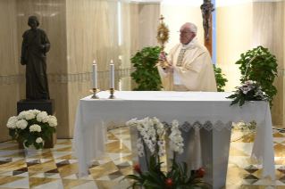 12-Holy Mass presided over by Pope Francis at the Casa Santa Marta in the Vatican: “The meekness and tenderness of the Good Shepherd”