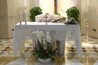 0-Celebrazione della Santa Messa nella Cappella della <i>Domus Sanctae Marthae</i>: "Atteggiamenti che impediscono di conoscere Cristo"