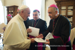 4-Audience to Members of the Synod of the Chaldean Church