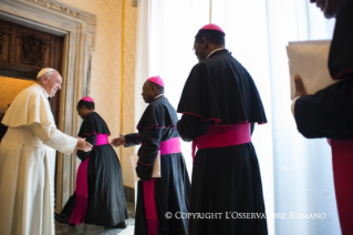 4-Aos Bispos da Confer&#xea;ncia Episcopal de Mo&#xe7;ambique em Visita "ad Limina Apostolorum" 