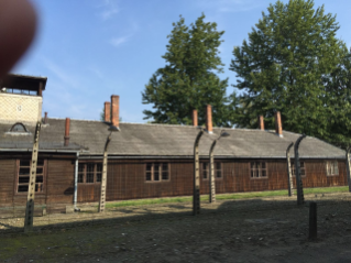 0-Apostolic Journey to Poland: Visit to Auschwitz