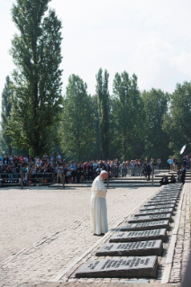 12-Viagem Apostólica à Polônia: Visita ao Campo de concentração de Birkenau 