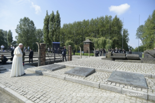 4-Viagem Apostólica à Polônia: Visita ao Campo de concentração de Birkenau 