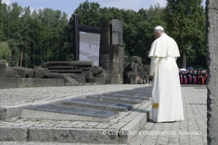 3-Voyage apostolique en Pologne : Visite au Camp de Birkenau