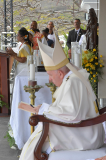 9-Apostolische Reise nach Mauritius: Heilige Messe 