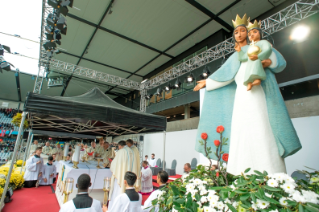 14-Viagem Apostólica à Suécia: Santa Missa no Swedbank Stadion em Malm&#xf6;